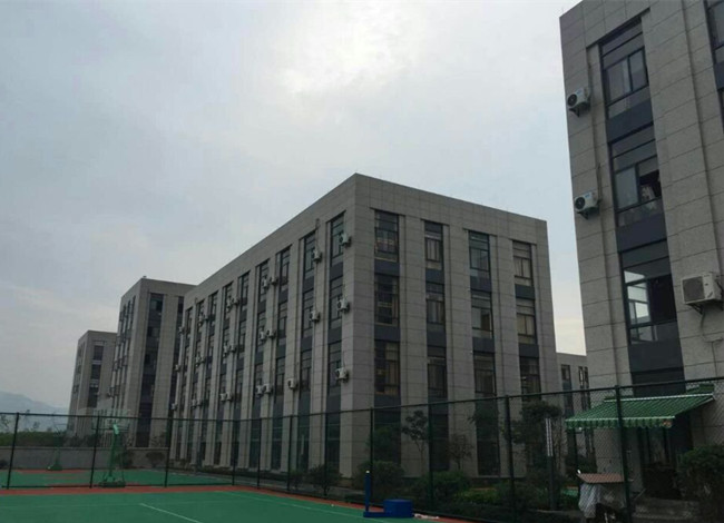 杭州美术培训